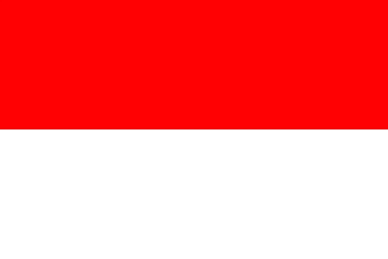 Indonesia Flag